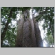 Northland Trip 012.jpg